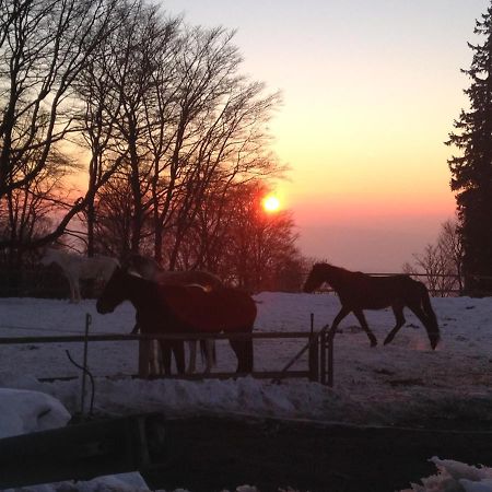 Gite De Montagne Au Pied Du Champ Du Feu Belmont  Zewnętrze zdjęcie