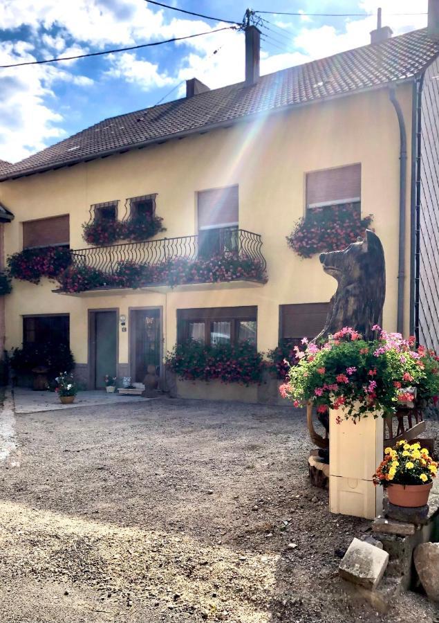 Gite De Montagne Au Pied Du Champ Du Feu Belmont  Zewnętrze zdjęcie