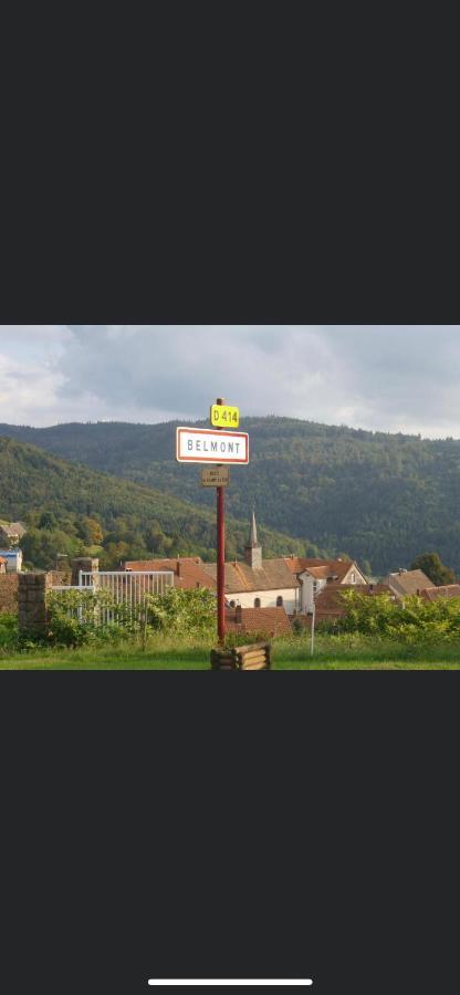 Gite De Montagne Au Pied Du Champ Du Feu Belmont  Zewnętrze zdjęcie