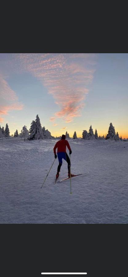 Gite De Montagne Au Pied Du Champ Du Feu Belmont  Zewnętrze zdjęcie