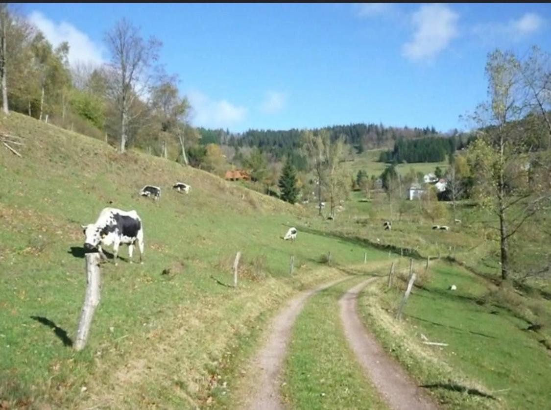 Gite De Montagne Au Pied Du Champ Du Feu Belmont  Zewnętrze zdjęcie