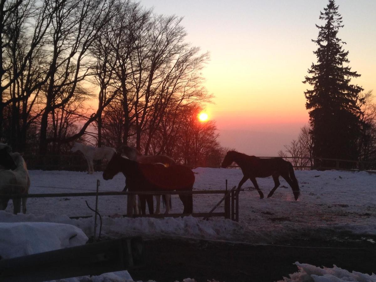 Gite De Montagne Au Pied Du Champ Du Feu Belmont  Zewnętrze zdjęcie